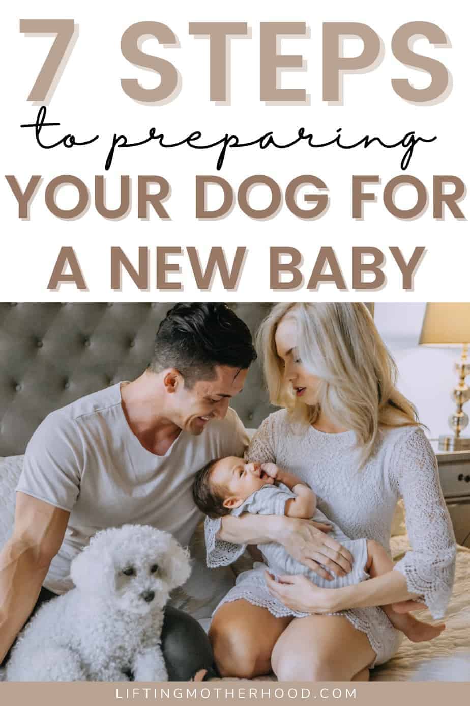 Prepare Your Dog For A Baby Tips And Experience Lifting Motherhood